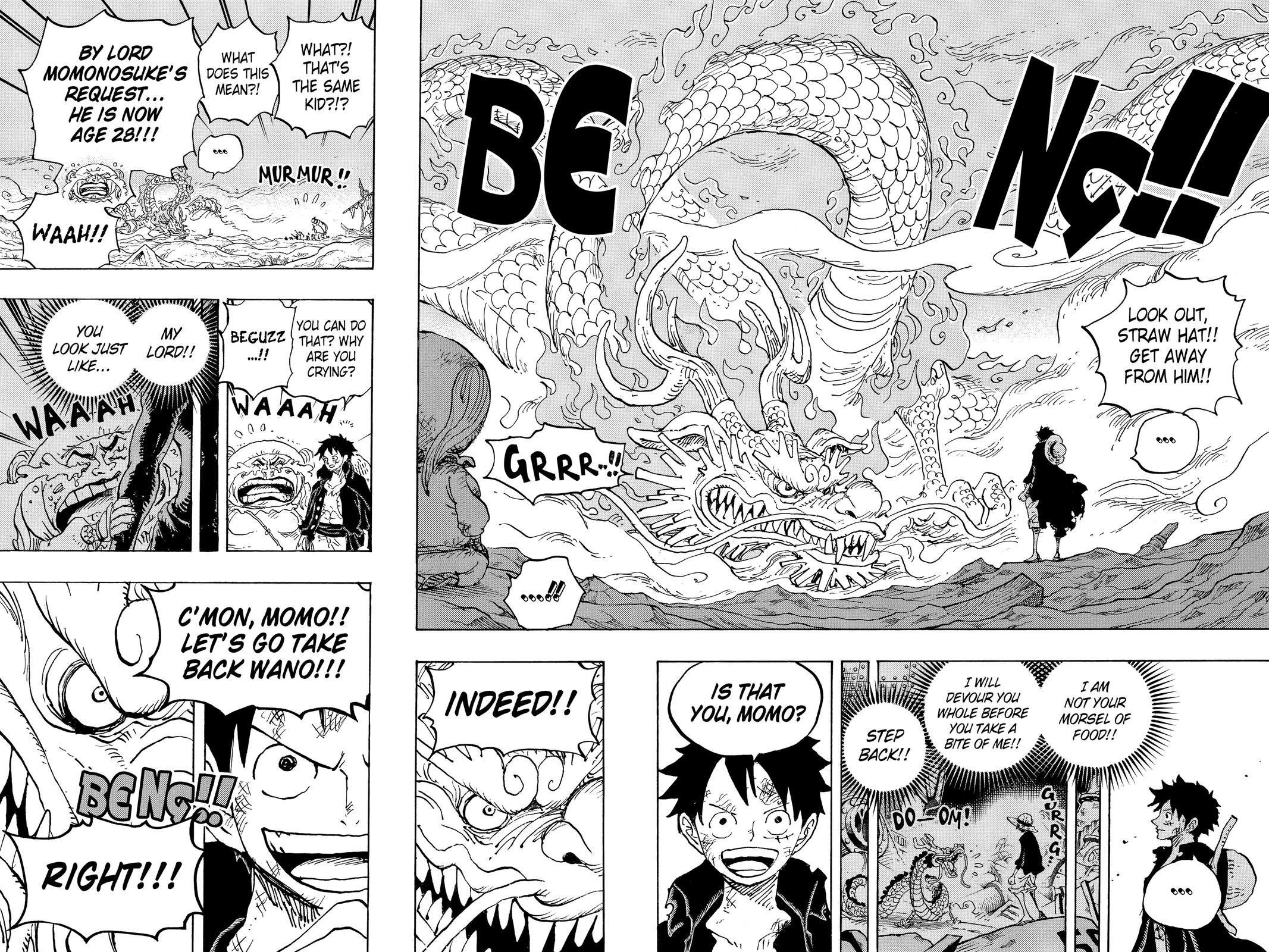 One Piece, Chapter 1023 image 16